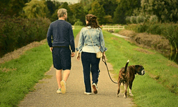 നായ്ക്കളെ പരിചരിക്കുന്നത് സ്വന്തം മക്കളെപ്പോലെ: ചര്‍ച്ചയായി ഈ ബംഗളൂരു ദമ്പതികള്‍
