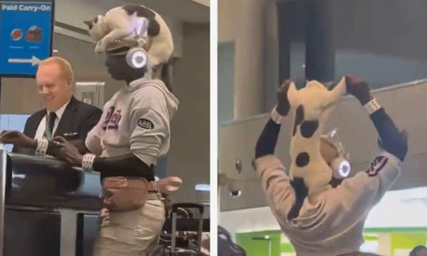 എങ്ങനെയുണ്ട് വെറൈറ്റിയല്ലേ? തൊപ്പിക്കു പകരം വളര്‍ത്തുപൂച്ചയെ തലയില്‍ ഇരുത്തി യുവതി എയര്‍പോര്‍ട്ടില്‍, അമ്പരന്ന് യാത്രക്കാര്‍
