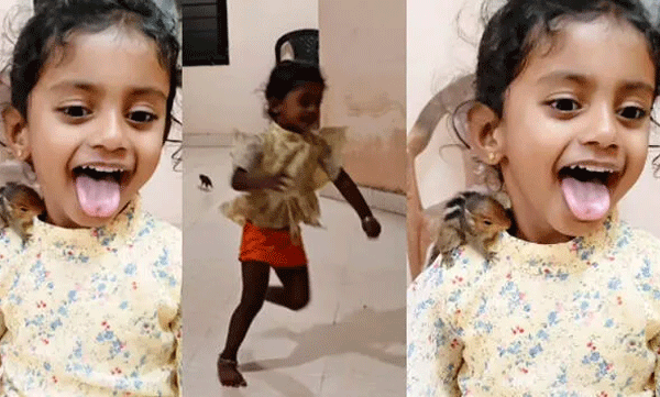 എത്ര മനോഹരം ഈ കാഴ്ച! പെണ്‍കുട്ടിക്ക് പിന്നാലെ പാഞ്ഞ് അണ്ണാന്‍കുഞ്ഞ്, രസകരമായ വീഡിയോ വൈറല്‍
