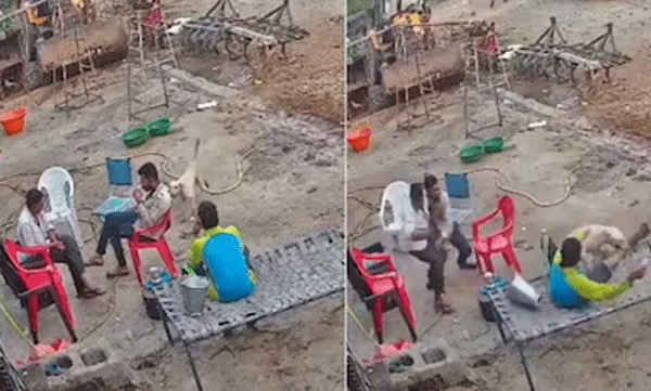 വെറും സെക്കന്‍ഡുകള്‍ക്കുള്ളില്‍ നിരവധിപേരെ ആക്രമിച്ച് തെരുവുനായ: ഞെട്ടിക്കുന്ന ദൃശ്യങ്ങള്‍ പുറത്ത് 

