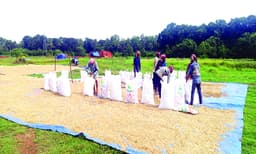 നെല്‍ക്കര്‍ഷകര്‍ക്ക്‌ സപ്ലൈകോ നല്‍കാനുള്ളത്‌ 280 കോടി