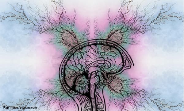 വാർദ്ധക്യസഹജമല്ല ഈ മാറ്റങ്ങൾ; ജീവിക്കാം പാർക്കിൻസൺസിനൊപ്പം