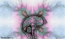 വാർദ്ധക്യസഹജമല്ല ഈ മാറ്റങ്ങൾ; ജീവിക്കാം പാർക്കിൻസൺസിനൊപ്പം