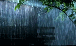 മഴ വരുന്നു, ചൂടിന് ആശ്വാസം, 5 ദിവസം മഴയ്ക്ക് സാധ്യത
