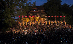 photo; representative image