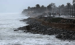 കൊച്ചിയിൽ ആർത്തലച്ച് വേനൽമഴ എത്തി, ശക്തമായ കാറ്റിൽ പലയിടത്തും മരങ്ങൾ കടപുഴകി, വൈദ്യുതി തടസ്സപ്പെട്ടു