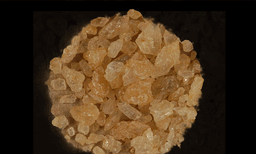  കൽപ്പറ്റയില്‍ യുവാവില്‍ നിന്ന് എംഡിഎംഎ പിടികൂടി