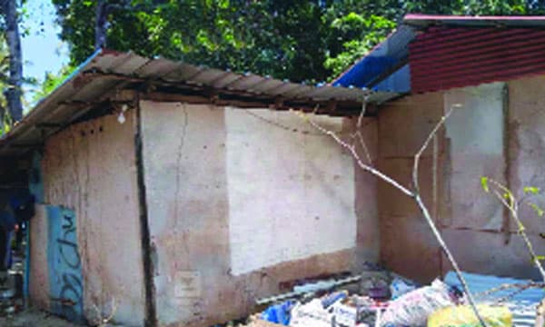 അതിദരിദ്രരില്ലാത്ത സംസ്ഥാനം: ആ കുഞ്ഞ് ഉറങ്ങിയത് ഷീറ്റ് കെട്ടി മറച്ച കൂരയില്‍ ; മൂര്‍ഖനെ കണ്ടെത്തിയത് വീടിനടുത്ത ഇഷ്ടികയ്ക്കിടയില്‍