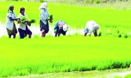 ഇന്ത്യയുടെ 'അരിപ്പുര'വറചട്ടിയാകുമ്പോള്‍