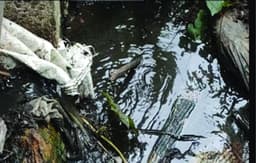 പഴശ്ശി ജലസംഭരണിയില്‍ കക്കൂസ്‌ മാലിന്യം നിറയുന്നു