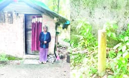 കെ. റെയിലിന് അന്ന് അവര്‍ അടുപ്പുകല്ല് ഇളക്കിമാറ്റി മഞ്ഞക്കുറ്റി സ്ഥാപിച്ചു ; പിന്നീട് തങ്കമ്മ ഭക്ഷണമുണ്ടാക്കിയിരുന്നത് പുറത്ത് കല്ലുകൂട്ടി...!