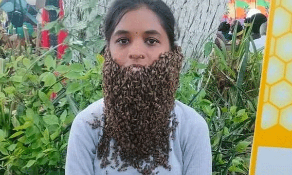 മുഖത്ത് ആയിരകണക്കിന് തേനീച്ചകളെ വഹിച്ച് നിന്നത് മിനിറ്റുകളോളം: ക്യാമ്പസിനെ അമ്പരപ്പിച്ച് വിദ്യാര്‍ത്ഥിനി 

