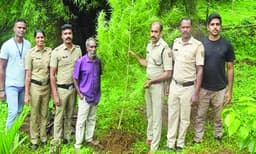 വീട്ടുവളപ്പില്‍ കഞ്ചാവ്‌ ചെടി വളര്‍ത്തി; വയനാട്‌ അമ്പലവയല്‍ സ്വദേശി അറസ്‌റ്റില്‍