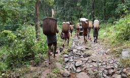 ബജറ്റിലെ ആദിവാസി ഇടം