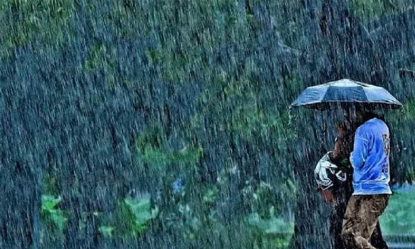 കേരളത്തിൽ വീണ്ടും മഴ കനക്കുന്നു; ഇന്ന് 5 ജില്ലകളിൽ യെല്ലോ അലേർട്ട്  , ശക്തമായ കാറ്റിനും കടലാക്രമണത്തിനും സാധ്യത
