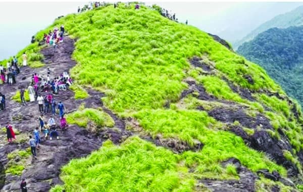 പ്രകൃതിയുടെ വിസ്‌മയം തീര്‍ത്ത്‌ പാലുകാച്ചിമല