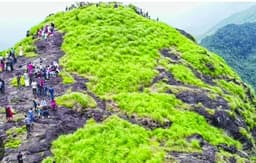 പ്രകൃതിയുടെ വിസ്‌മയം തീര്‍ത്ത്‌ പാലുകാച്ചിമല