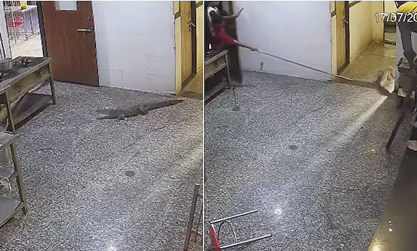 ഉച്ചഭക്ഷണം കഴിക്കാൻ മെസ്സിലേക്ക് കയറിവന്നത് മുതല! കോട്ടയിലെ ബോയ്സ് ഹോസ്റ്റലിലെ നടുക്കുന്ന ദൃശ്യങ്ങള്‍ വൈറല്‍ 