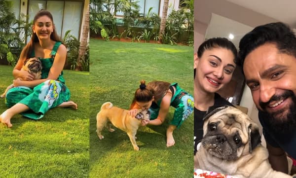 Parag Tyagi shares that his dog Simba has passed away (Image Source: Instagram)