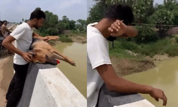 ചത്ത വളർത്തുനായയുടെ ജഡം നദിയിലേക്കിട്ട് യുവാവ്; വീഡിയോ വൈറലായതോടെ രൂക്ഷ വിമർശനവുമായി സോഷ്യൽ മീഡിയ

