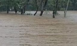 പതിനാല് ജില്ലകളിലും തീവ്ര, അതിതീവ്ര മഴയ്ക്ക് സാധ്യത; ശക്തമായ കാറ്റിനും സാധ്യതയെന്ന് കേന്ദ്ര കാലാവസ്ഥ വകുപ്പ്