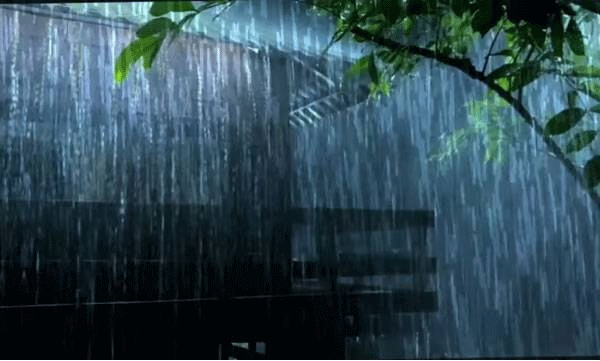 വീണ്ടും പേമാരി; ഇന്ന് എട്ട് ജില്ലകളിൽ റെഡ് അലർട്ട്, നാല് ദിവസം കൂടി ശക്തമായ മഴയ്ക്ക് സാധ്യത
