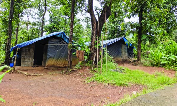 ഇതാണ്‌ നമ്മുടെ ആദിവാസി സ്‌നേഹം ,സോണി നെല്ലിയാനി കുട്ടമ്പുഴയില്‍ നരകിച്ച്‌ 67 കുടുംബങ്ങള്‍