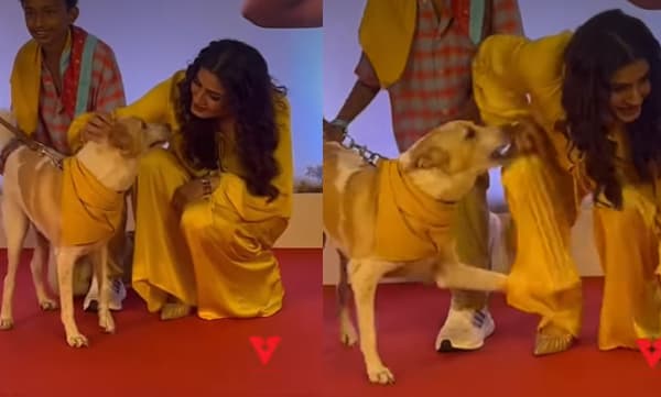 ജസ്റ്റ് മിസ്, ഇപ്പോ കടി കിട്ടിയേനെ; നായയുടെ ആക്രമണത്തില്‍ നിന്നും തലനാരിഴയ്ക്ക് രക്ഷപ്പെട്ട് രവീണ ടണ്ടന്‍- വീഡിയോ
