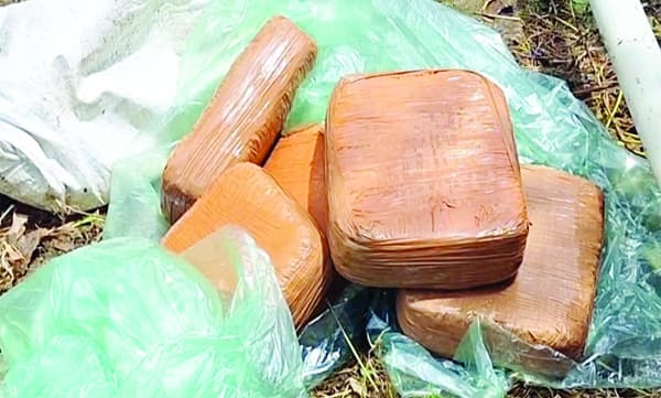 കുന്ദമംഗലത്ത്‌ പൊന്തക്കാട്ടില്‍ 12 കിലോയോളം കഞ്ചാവ്‌