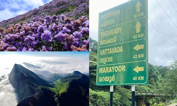 ഇടുക്കിയിൽ മഴയ്ക്ക് ശമനം ; വിനോദസഞ്ചാര കേന്ദ്രങ്ങളിലെ നിയന്ത്രണങ്ങൾ പിൻവലിച്ചു
