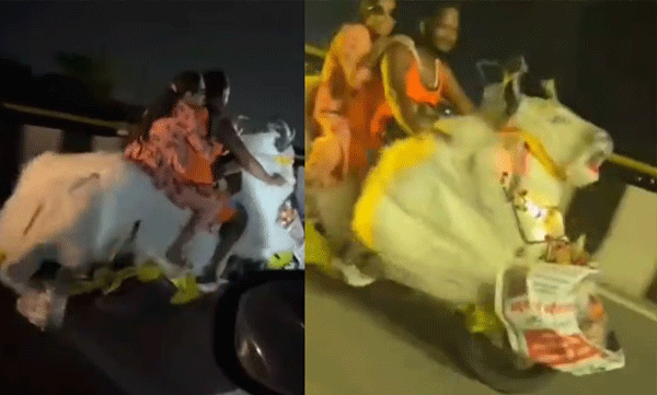കൺവർ യാത്രയ്ക്കിടയിൽ ശ്രദ്ധനേടി 'നന്ദി' ബൈക്ക്; സോഷ്യൽ മീഡിയയിൽ ചിരിയും കൗതുകവും നിറച്ച് ദൃശ്യങ്ങൾ