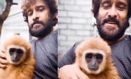വംശനാശ ഭീഷണി നേരിടുന്ന കുരങ്ങിനൊപ്പം റീല്‍ ചെയ്ത് വിക്രം , അന്വേഷണം ആരംഭിച്ച് വനംവകുപ്പ് 
