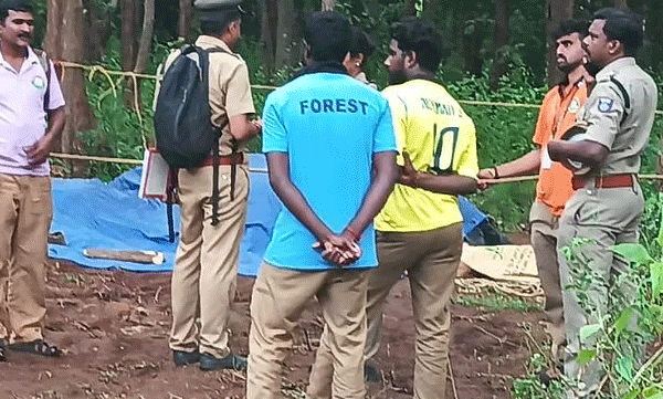 വാളയാറിൽ ട്രെയിൻ തട്ടി പിടിയാനയും കുട്ടിയാനയും ചരിഞ്ഞു; എൻജിനടിയിൽ കുടുങ്ങി 50 മീറ്ററോളം വലിച്ചിഴച്ചു
