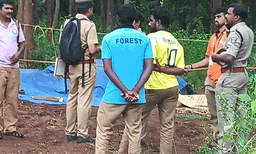 വാളയാറിൽ ട്രെയിൻ തട്ടി പിടിയാനയും കുട്ടിയാനയും ചരിഞ്ഞു; എൻജിനടിയിൽ കുടുങ്ങി 50 മീറ്ററോളം വലിച്ചിഴച്ചു
