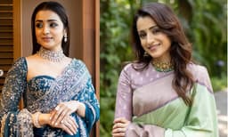 അഭിനയത്തില്‍ നിന്നും ഇടവേളയെടുക്കാനൊരുങ്ങി തൃഷ, സിനിമാ നിര്‍മ്മാണരംഗത്തും രാഷ്ട്രീയത്തിലും സജീവമാകുമെന്ന് അഭ്യൂഹം 
