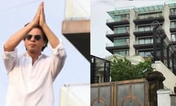 ഷാരൂഖിന്റെ മന്നത്ത് ബംഗ്ലാവിൽ ‘ചേരപ്പേടി’: 8 അടി നീളമുള്ള ചേരയെ പിടികൂടി