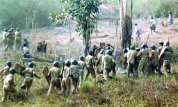 മുത്തങ്ങ ഭൂസമരം: പ്രതികളുടെ 
തടവുശിക്ഷ മരവിപ്പിച്ച്‌ ജാമ്യം