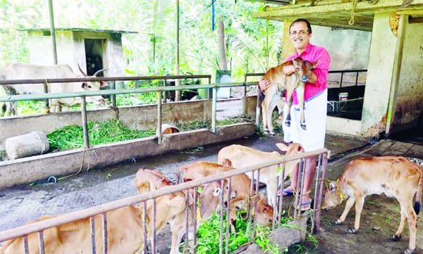 പെരിയാര്‍ കുള്ളന്‍ പശുവിന്‌ ദേശീയ അംഗീകാരം
