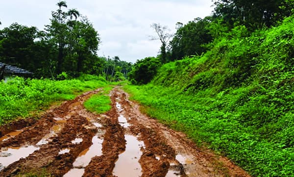 മഴയില്‍ തകര്‍ന്നടിഞ്ഞ്‌ ചെളിക്കുളമായി മാന്തോട്ടം 
നാഗത്തിങ്കല്‍ കളം റോഡ്‌; നാട്ടുകാര്‍ക്ക്‌ ദുരിതയാത്ര