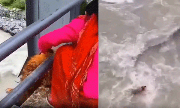 എന്തിനീ ക്രൂരത?; ജീവനുള്ള നായയെ പുഴയിലേക്ക് വലിച്ചെറിഞ്ഞു, ദൃശ്യങ്ങൾ പുറത്ത്: നേപ്പാളിൽ വ്യാപക പ്രതിഷേധം
