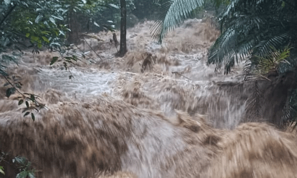അപ്രതീക്ഷിതമായി തൊട്ടുമുകളിലുള്ള മലഞ്ചരിവ് ഇടിഞ്ഞു; വലിയ ശബ്ദത്തോടെ മണ്ണും പാറക്കഷണങ്ങളും ചെളിയും ഷെഡിന് മുകളിലേക്ക്; നിമിഷനേരം കൊണ്ട മൂന്നുപേരും മണ്ണിനടിയിലായി