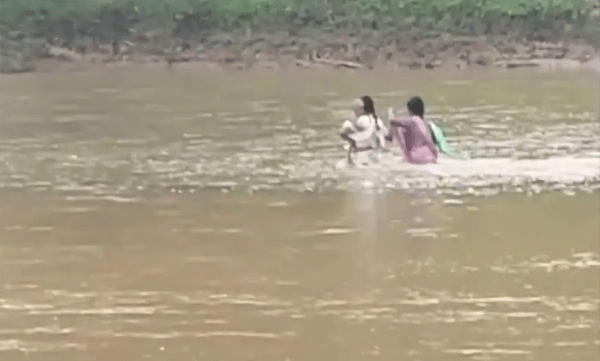 കുഞ്ഞിനെയും കൈയിലെടുത്ത് കുത്തൊഴുക്കുള്ള പുഴ കടന്ന് അധ്യാപിക; മഴയിലും 3 കിലോമീറ്റർ നടന്ന് സ്കൂളിലെത്തി
