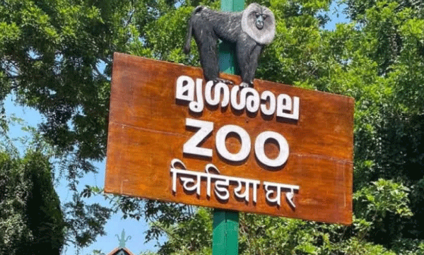വിദ്യാർത്ഥികൾക്ക് സന്തോഷവാർത്ത‘ പണം മുടക്കണ്ട’ ; ഒക്ടോബർ 2 മുതൽ 8 വരെ ഒരാഴ്ച തിരുവനന്തപുരം മൃഗശാലയിൽ സൗജന്യ പ്രവേശനം
