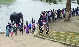 കാവേരി കടന്ന്‌, ആനകളെ കണ്ട്‌