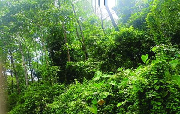 കിഫ്‌ബി നിയന്ത്രണം സ്‌പോര്‍ട്‌സ് കോംപ്ലക്‌സിന്‌ തിരിച്ചടിയാകുമോ?