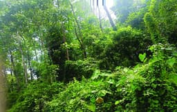 കിഫ്‌ബി നിയന്ത്രണം സ്‌പോര്‍ട്‌സ് കോംപ്ലക്‌സിന്‌ തിരിച്ചടിയാകുമോ?