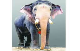 ഗജരത്നം പല്ലാട്ട്‌ ബ്രഹ്‌മദത്തന്‍ അനുസ്‌മരണം നാളെ