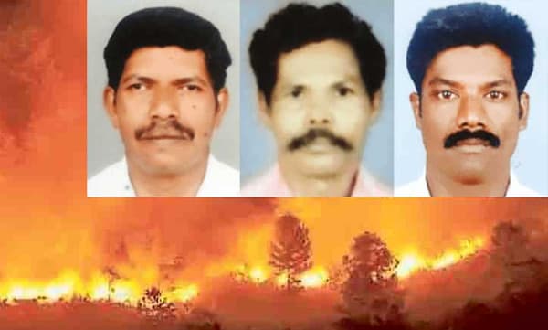 'നീയും മോനും കഴിച്ചോ? ഞാന് കഴിച്ചു..'; മരണം വിതച്ചെത്തിയ കാട്ടുതീയില് പെടുന്നതിന് മുമ്പ് ദിവാകരന് ഭാര്യയോട് ചോദിച്ചത്