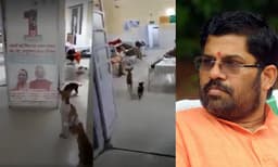 ഉത്തര്പ്രദേശ് ആശുപത്രിക്കുള്ളില് 'റൗണ്ട്സിനിറങ്ങിയ' നായകളുടെ വിഡിയോ പങ്കുവച്ച് സന്ദീപാനന്ദ ഗിരി