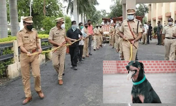 365 കേസുകള് തെളിയിച്ചു: റോക്കിക്ക് ആദരവോടെ അന്ത്യയാത്ര
